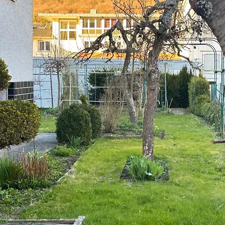 Wollmert 3*